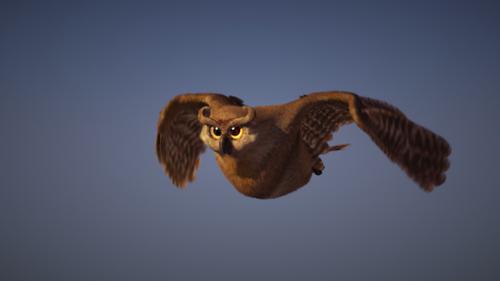 Owl preview image